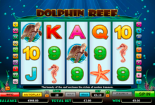 dolphin reef netgen gaming
