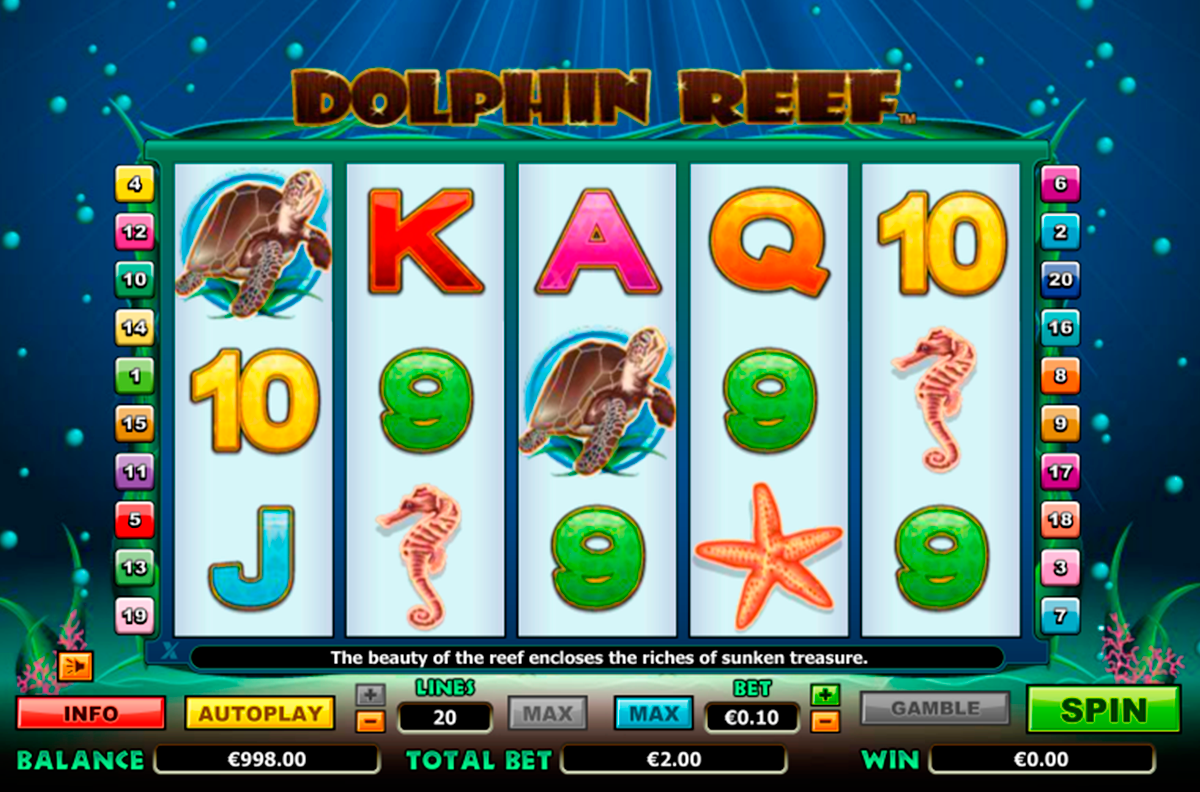 dolphin reef nextgen gaming 1