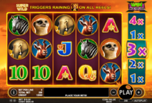 hot safari pragmatic slot
